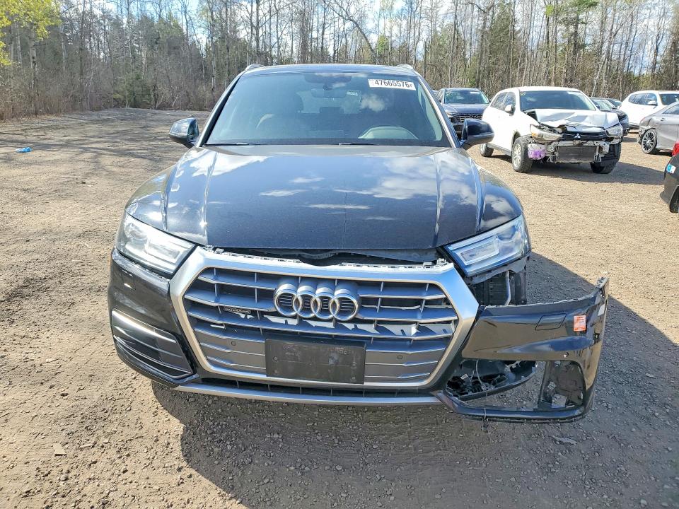47665576 :رقم المزاد ، WA1BNAFYXK2117759 vin ، 2019 Audi Q5 مزاد بيع