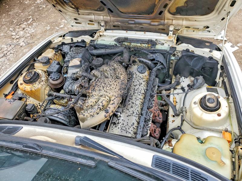 Продаж на аукціоні авто 1990 Bmw 325, vin: WBAAE9313LED64273, номер лоту: 53444196