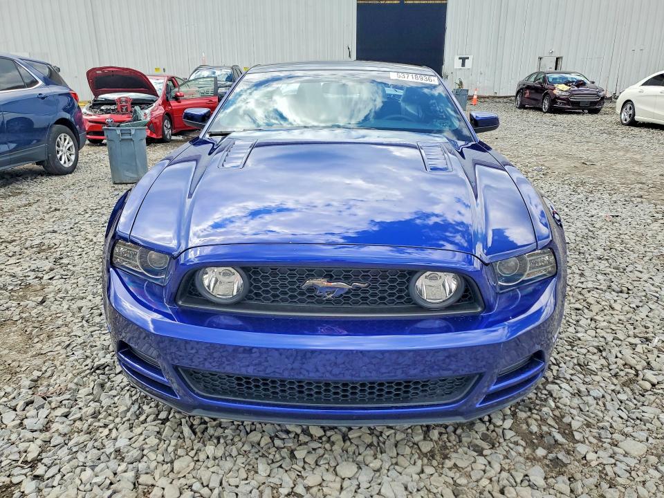 53718936 :رقم المزاد ، 1ZVBP8CF5E5251736 vin ، 2014 Ford Mustang مزاد بيع