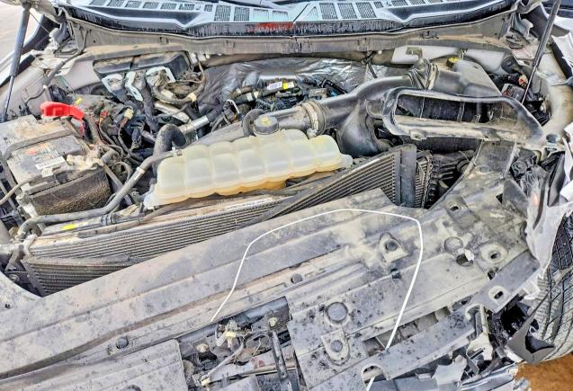2021 Ford F150 მანქანა იყიდება აუქციონზე, vin: 1FTEW1EP4MKD14194, აუქციონის ნომერი: 54246356
