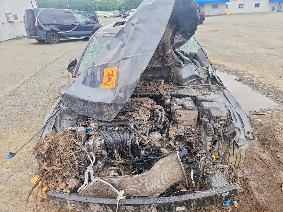 Продаж на аукціоні авто 2026 Hyundai Elantra, vin: KMHLS4DG3TU183067, номер лоту: 53814046