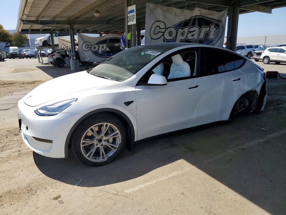 51356626 :رقم المزاد ، 5YJYGDED2MF116180 vin ، 2021 Tesla Model Y مزاد بيع
