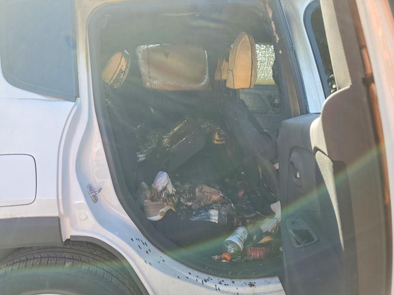 53535536 :رقم المزاد ، ZACNJBBB2KPK12180 vin ، 2019 Jeep Renegade مزاد بيع