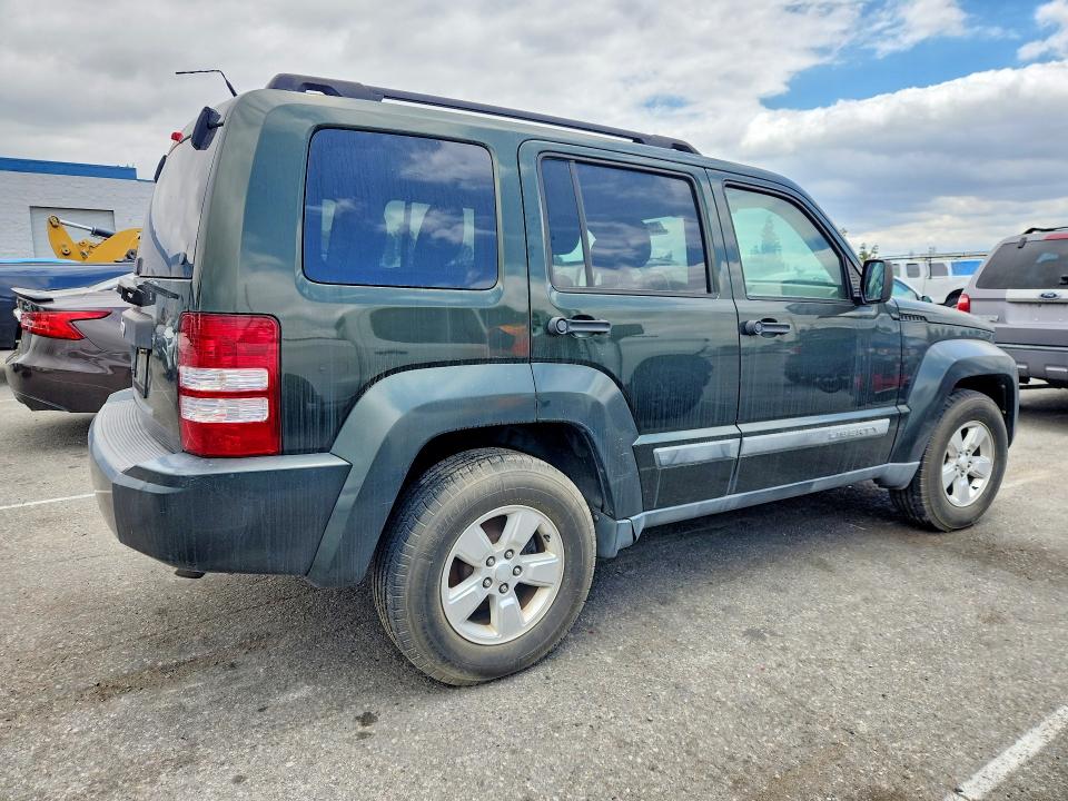 Продаж на аукціоні авто 2011 Jeep Liberty, vin: 1J4PN2GK1BW503551, номер лоту: 53295906