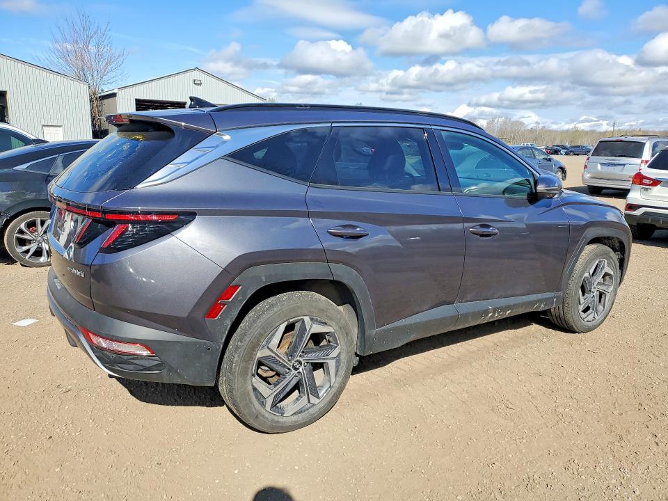 Aukcja sprzedaży 2024 Hyundai Tucson, vin: KM8JCCD13RU209525, numer aukcji: 50910686