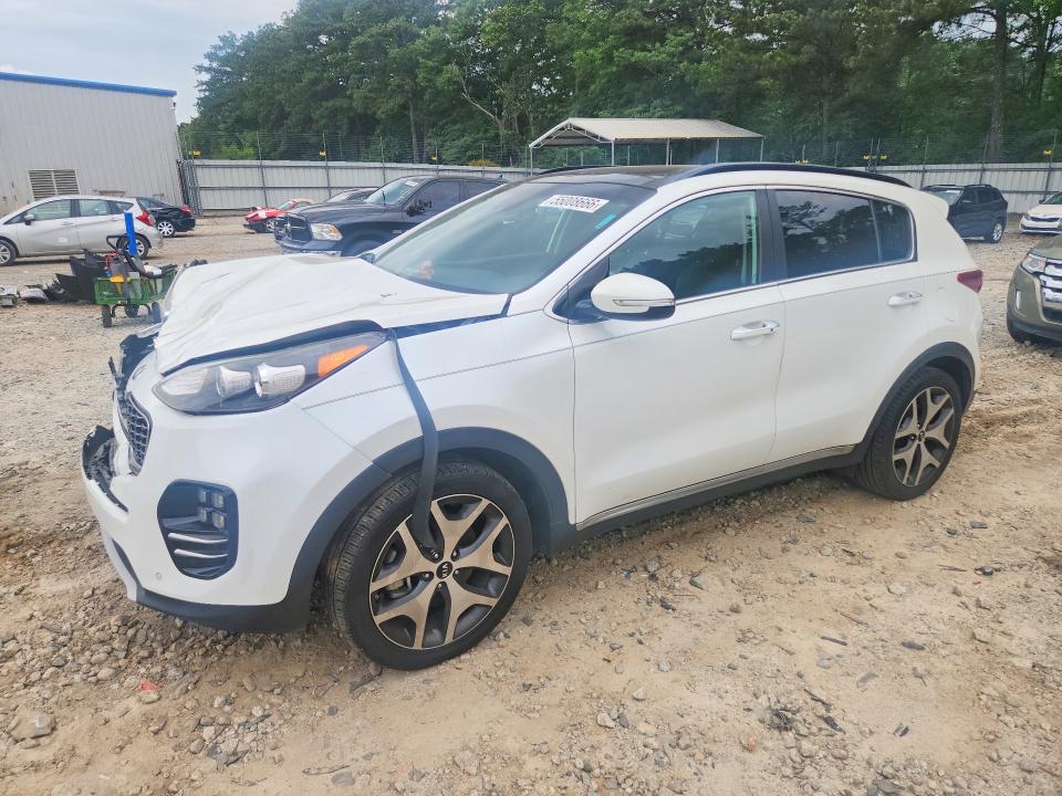 55008666 :رقم المزاد ، KNDPR3A67K7594041 vin ، 2019 Kia Sportage مزاد بيع