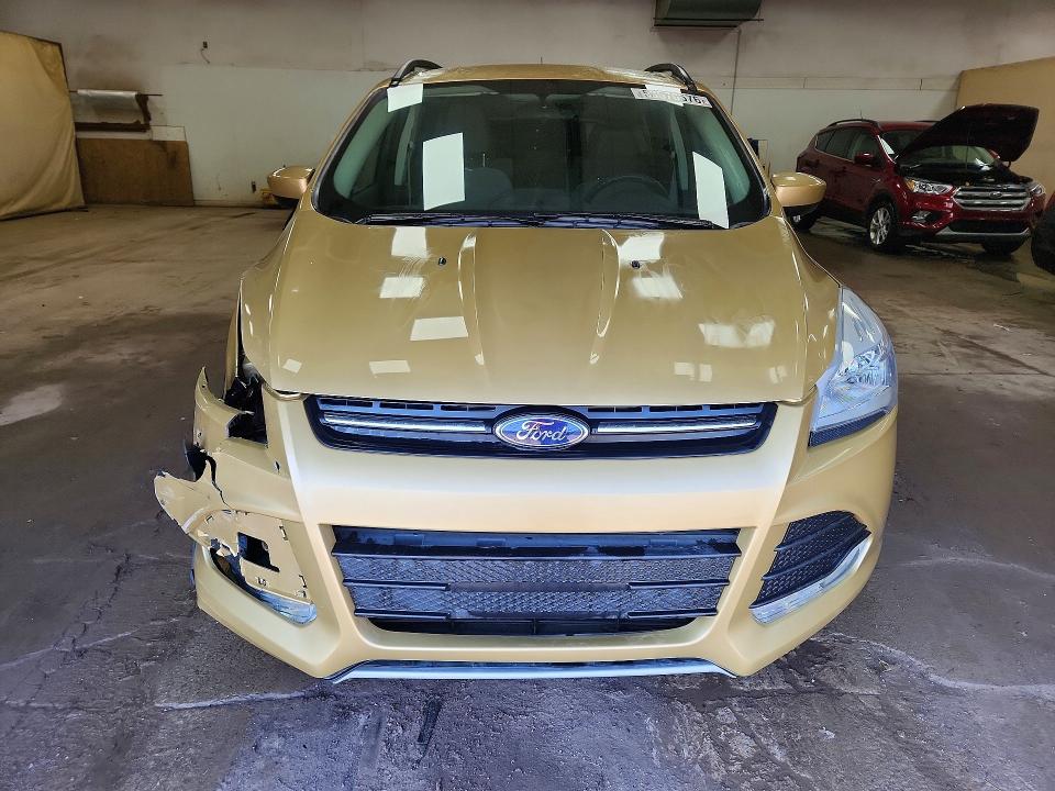Продажа на аукционе авто 2014 Ford Escape, vin: 1FMCU0GX9EUC07292, номер лота: 53570576