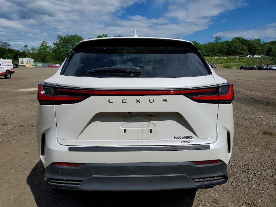 Aukcja sprzedaży 2023 Lexus Nx, vin: JTJADCEZ1P5000858, numer aukcji: 54980996
