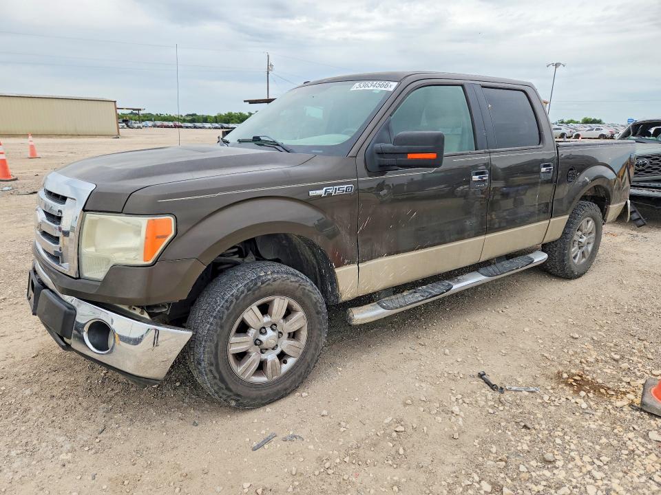 Auction sale of the 2009 Ford F150, vin: 1FTRW12859KB75649, lot number: 53634566