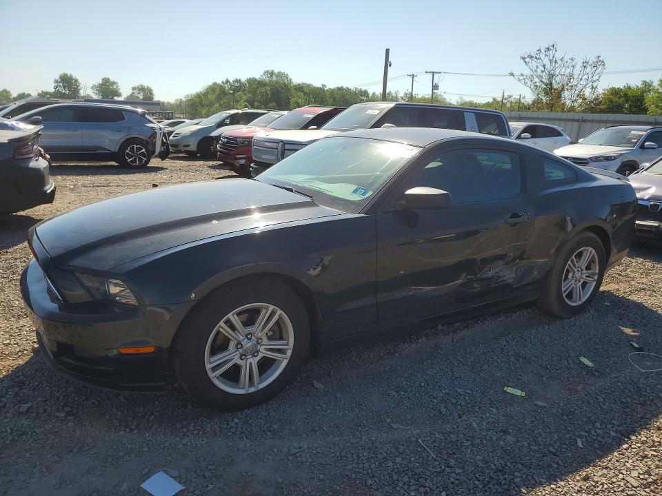 Продаж на аукціоні авто 2013 Ford Mustang, vin: 1ZVBP8AMXD5250498, номер лоту: 54066036