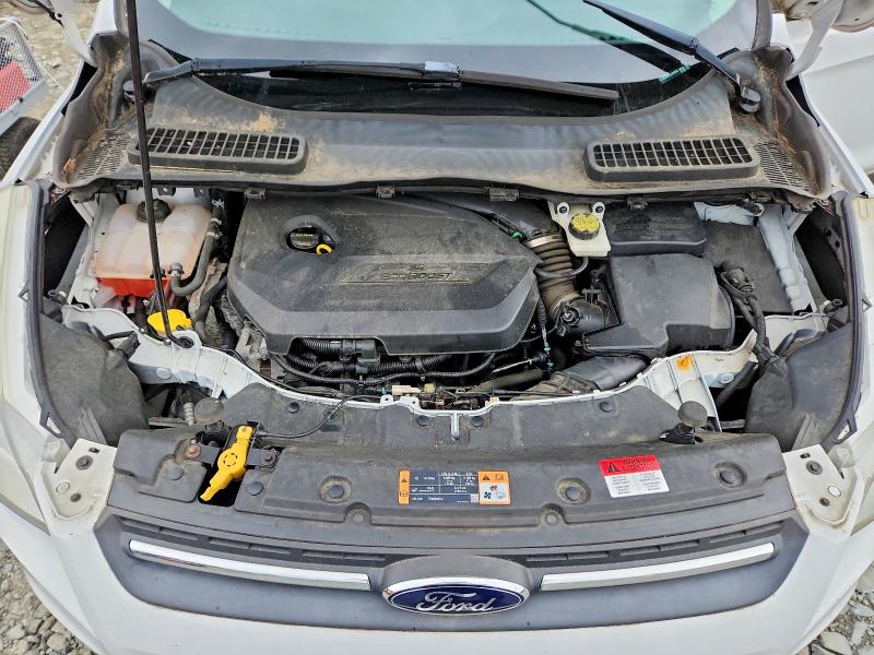 Продаж на аукціоні авто 2014 Ford Escape, vin: 1FMCU0GX5EUC69384, номер лоту: 55240446