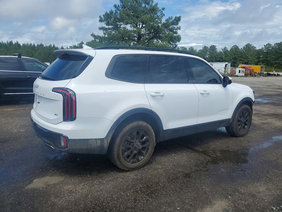 Продаж на аукціоні авто 2024 Kia Telluride, vin: 5XYP5DGC3RG553935, номер лоту: 52894236