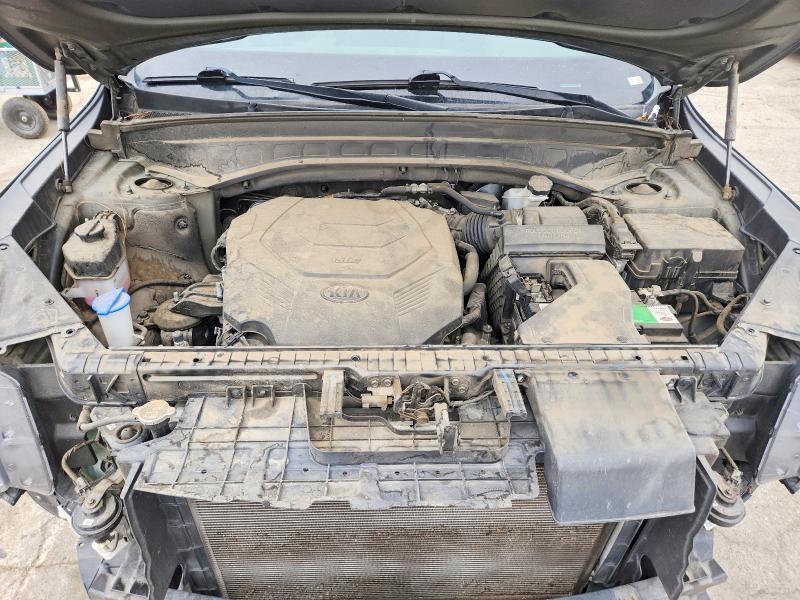 2021 Kia Telluride მანქანა იყიდება აუქციონზე, vin: 5XYP64HC1MG191625, აუქციონის ნომერი: 55445386