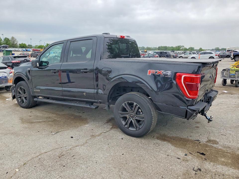 Продажа на аукционе авто 2021 Ford F150, vin: 1FTFW1ED1MFC79973, номер лота: 52611206