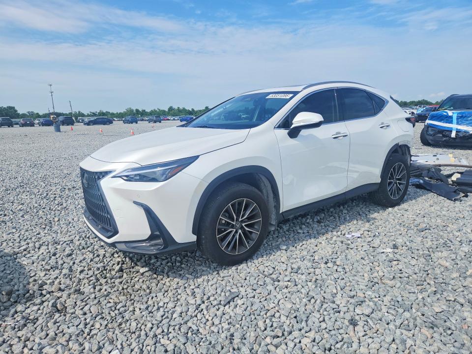 Продажа на аукционе авто 2024 Lexus Nx, vin: JTJGDCAZ0R5013569, номер лота: 53051086
