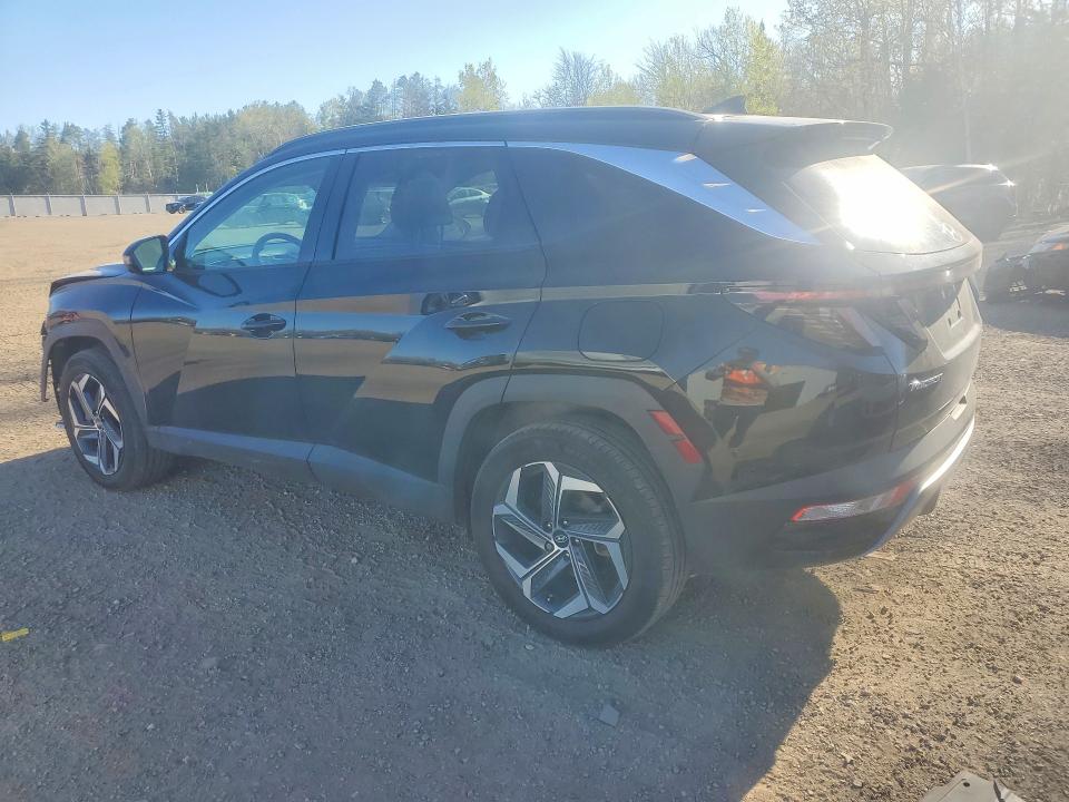 Продаж на аукціоні авто 2024 Hyundai Tucson, vin: KM8JDDD29RU177739, номер лоту: 52482966