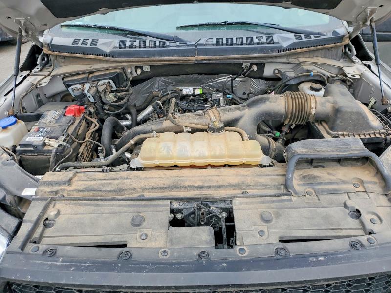 53564066 :رقم المزاد ، 1FTEW1EP9KKD82195 vin ، 2019 Ford F150 مزاد بيع