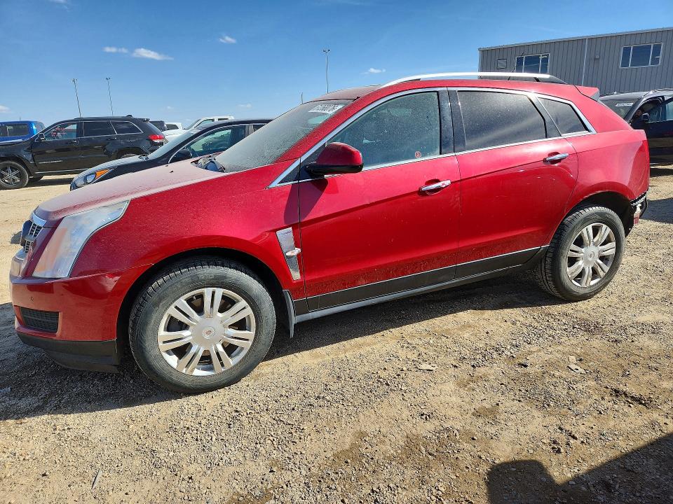 Auction sale of the 2011 Cadillac Srx, vin: 3GYFNDEY2BS609808, lot number: 51268076