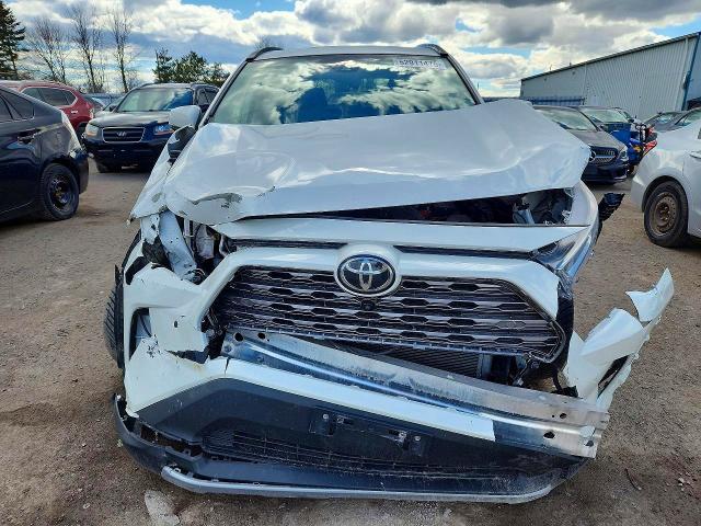 52911476 :رقم المزاد ، 2T3D1RFV6KW008804 vin ، 2019 Toyota Rav4 مزاد بيع