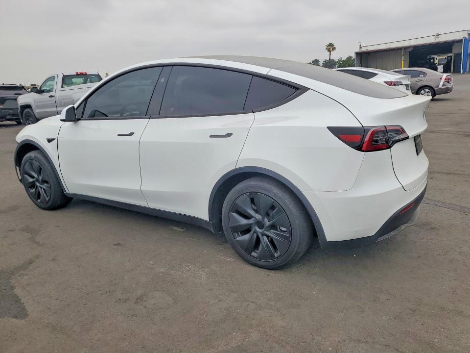 Продажа на аукционе авто 2025 Tesla Model Y, vin: 7SAYGDED0SF242568, номер лота: 53917146