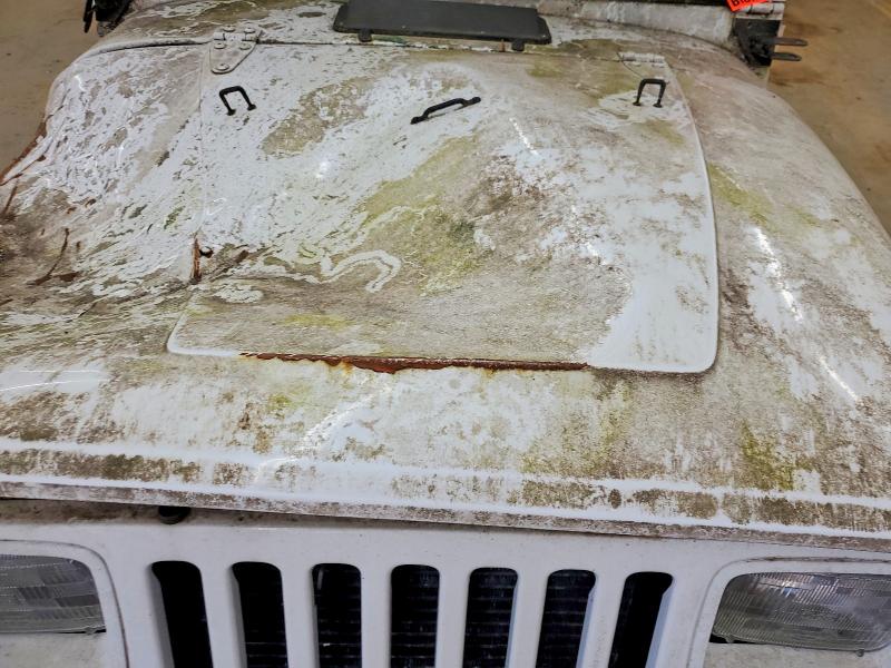 Продажа на аукционе авто 1995 Jeep Wrangler / Yj, vin: 1J4FY29S7SP208318, номер лота: 52141646