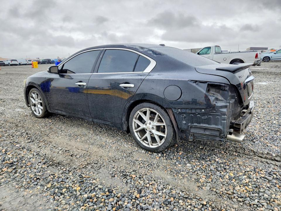 Aukcja sprzedaży 2009 Nissan Maxima, vin: 1N4AA51EX9C834318, numer aukcji: 52520176