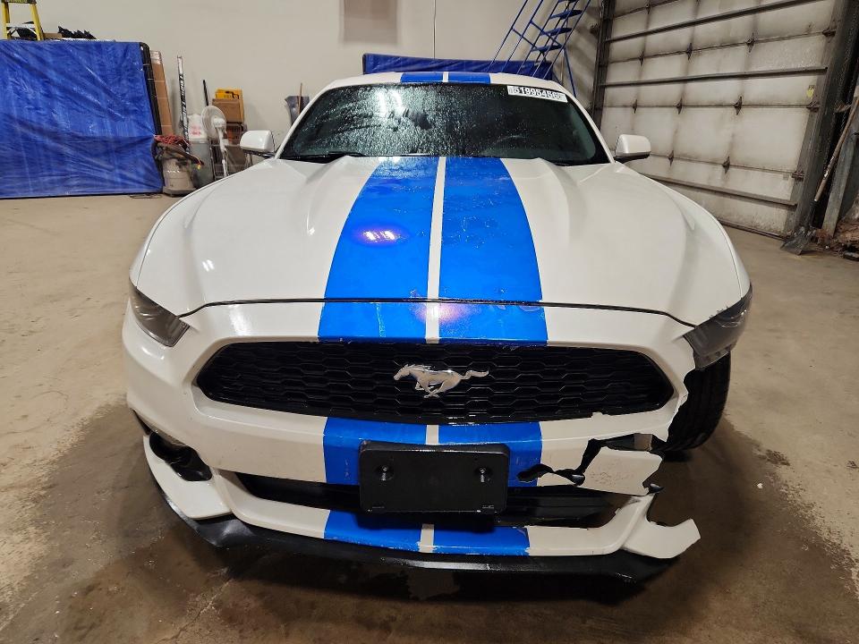 51995456 :رقم المزاد ، 1FA6P8AM7H5319096 vin ، 2017 Ford Mustang مزاد بيع
