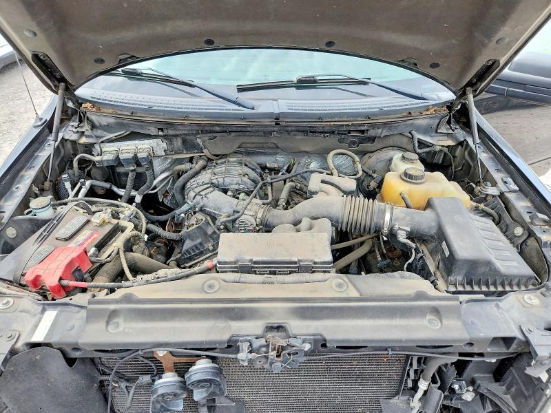 Aukcja sprzedaży 2013 Ford F150, vin: 1FTMF1CM8DKF71699, numer aukcji: 53725266