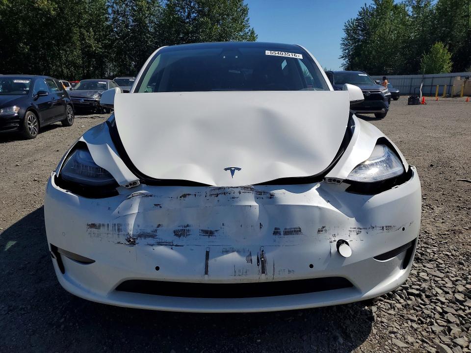 2021 Tesla Model Y მანქანა იყიდება აუქციონზე, vin: 5YJYGAEE9MF237781, აუქციონის ნომერი: 55403516