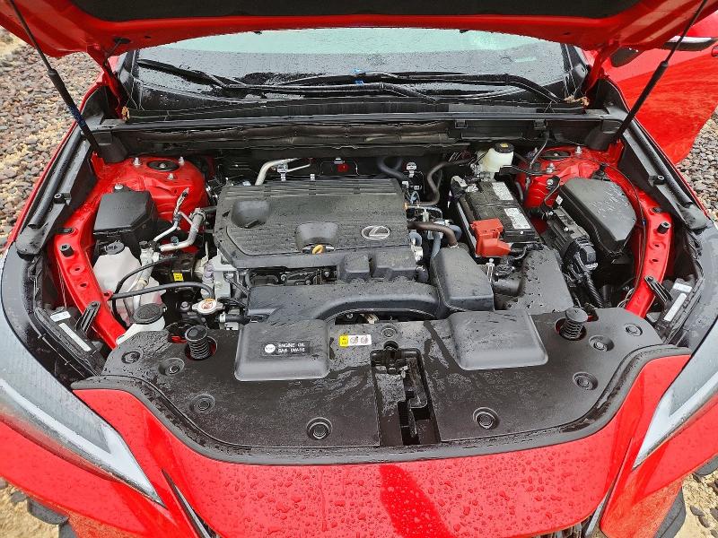 54132426 :رقم المزاد ، 2T2GDCAZ7RC014316 vin ، 2024 Lexus Nx مزاد بيع