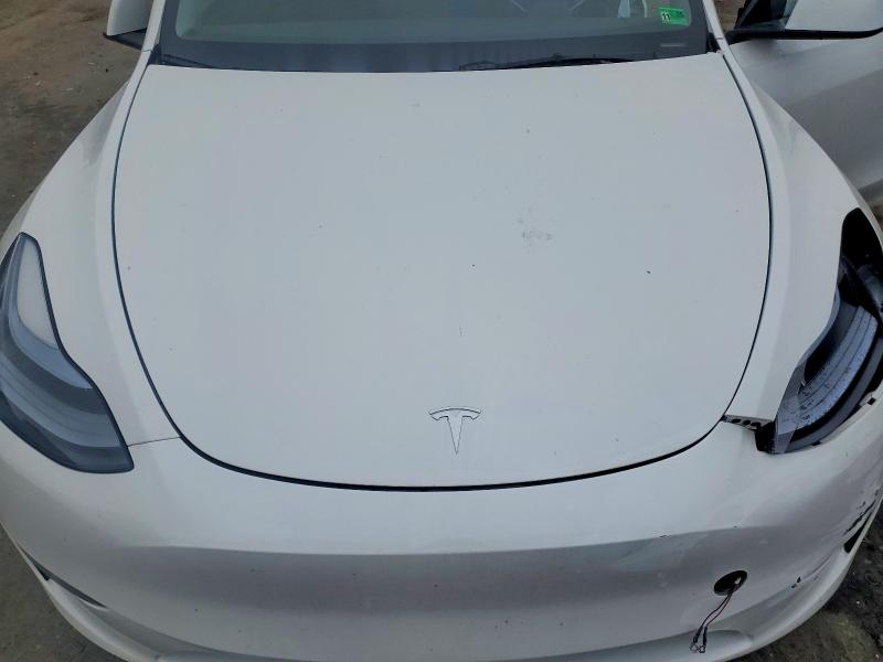 Продажа на аукционе авто 2024 Tesla Model  Y, vin: 7SAYGDED3RF167567, номер лота: 54635346