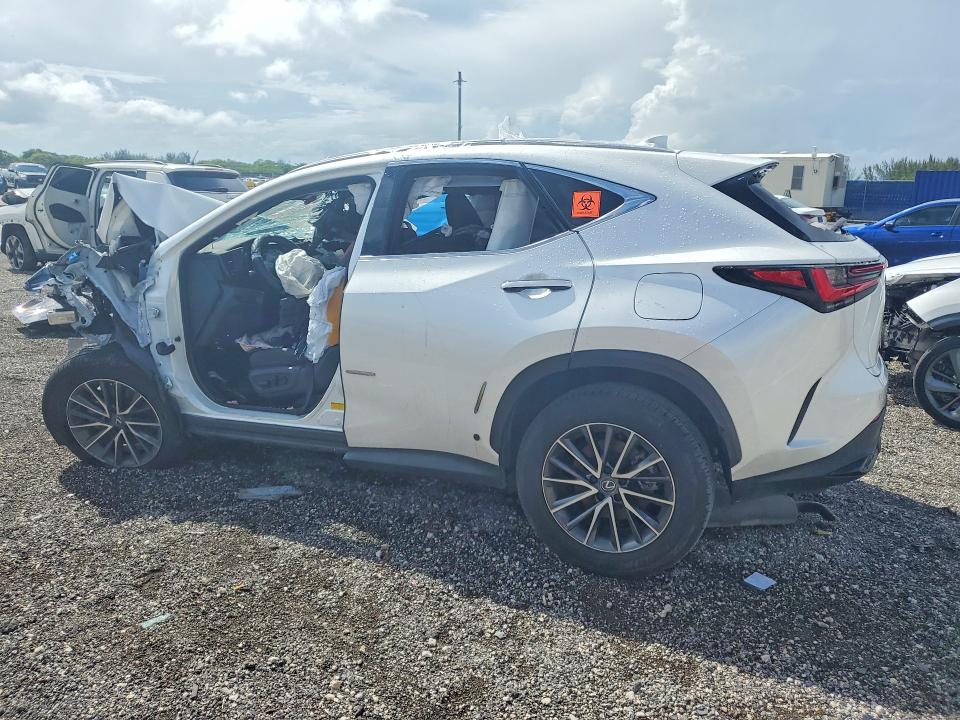 Продаж на аукціоні авто 2025 Lexus Nx 250, vin: JTJADCAZ2S5024066, номер лоту: 53825066