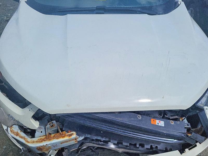 51272816 :رقم المزاد ، MAJ6S3FL1KC255772 vin ، 2019 Ford Ecosport مزاد بيع