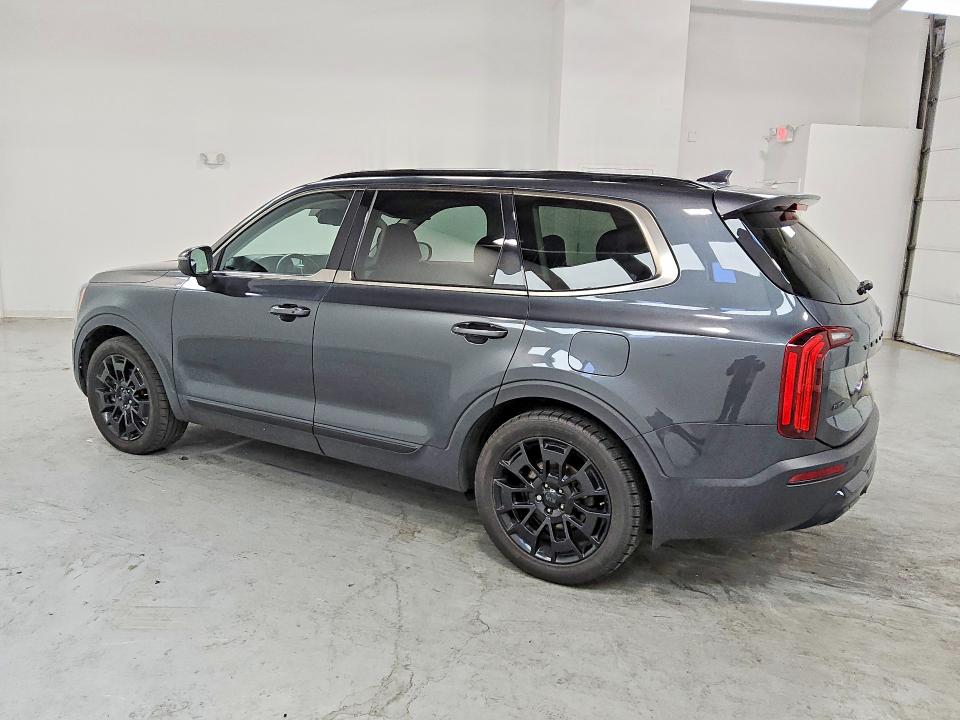 Продаж на аукціоні авто 2021 Kia Telluride, vin: 5XYP3DHCXMG186139, номер лоту: 51558006