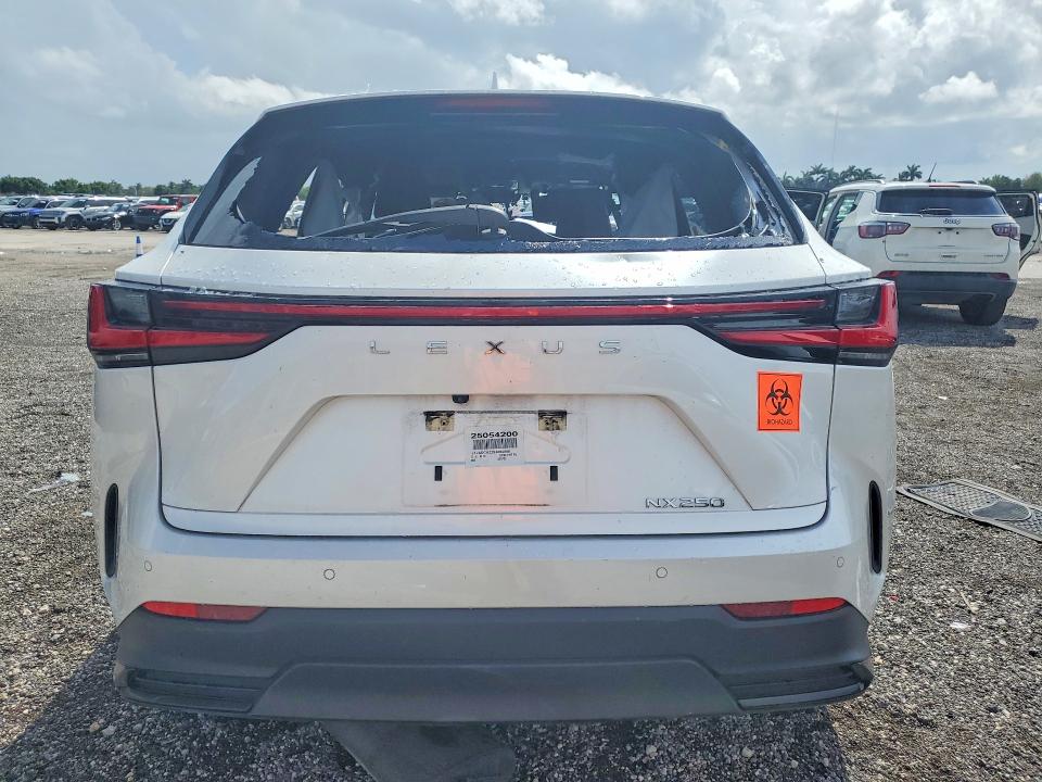 Продаж на аукціоні авто 2025 Lexus Nx 250, vin: JTJADCAZ2S5024066, номер лоту: 53825066