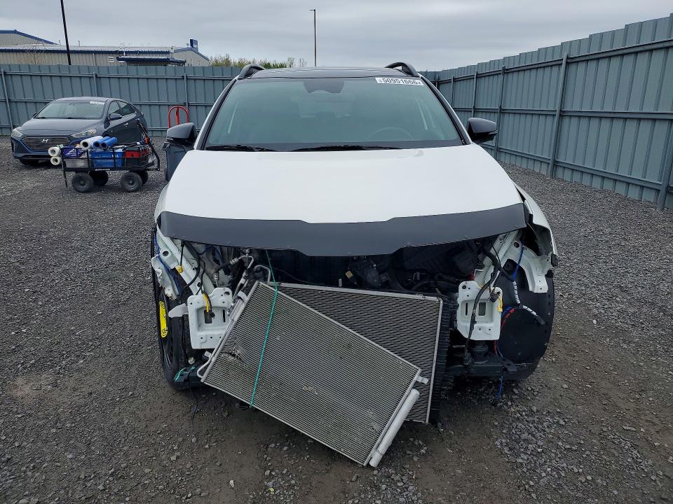 Продаж на аукціоні авто 2025 Kia Sportage, vin: KNDPXCDF4S7337050, номер лоту: 50951666