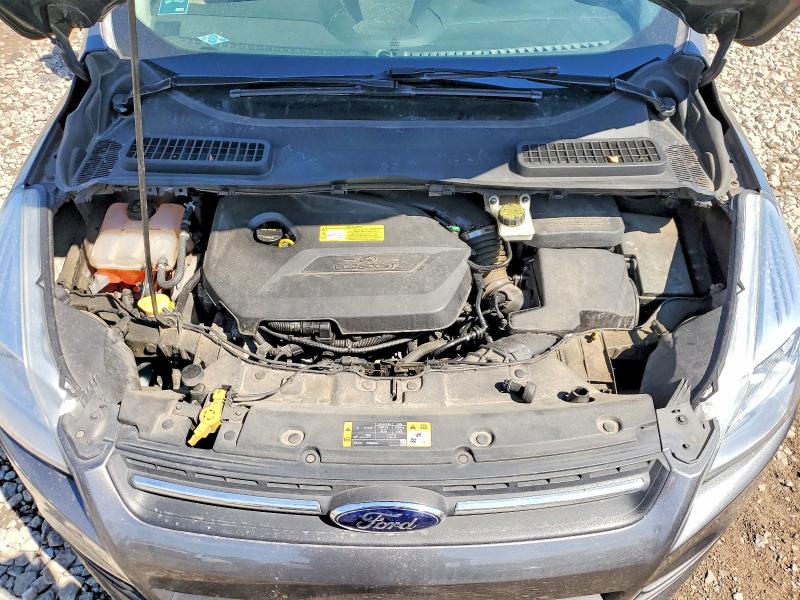 Aukcja sprzedaży 2014 Ford Escape, vin: 1FMCU0GX2EUC98776, numer aukcji: 53580646