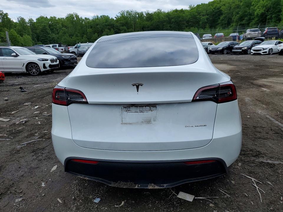 Aukcja sprzedaży 2024 Tesla Model Y, vin: 7SAYGDEE3RF083936, numer aukcji: 53823266