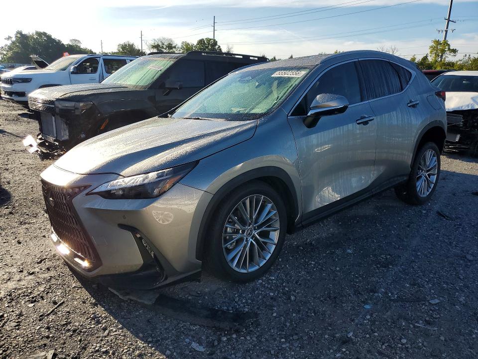Продажа на аукционе авто 2025 Lexus Nx, vin: 2T2GGCEZ7SC072904, номер лота: 55502556