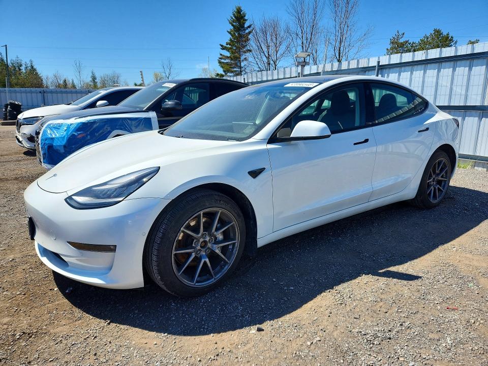 Продажа на аукционе авто 2021 Tesla Model 3, vin: 5YJ3E1EB2MF855191, номер лота: 52890346