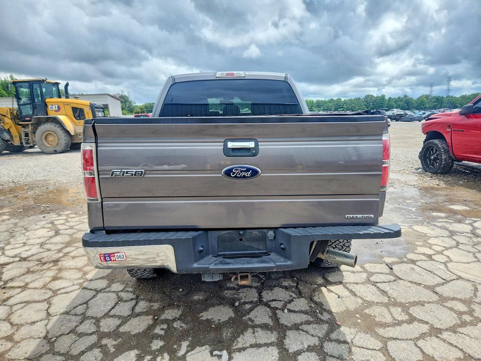 54095496 :رقم المزاد ، 1FTFW1EF2DFC32906 vin ، 2013 Ford F150 مزاد بيع
