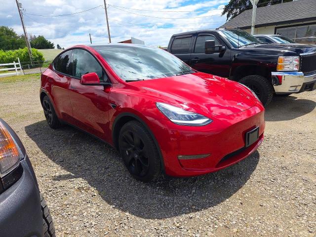 54544156 :رقم المزاد ، 5YJYGDEE4MF233509 vin ، 2021 Tesla Model Y مزاد بيع