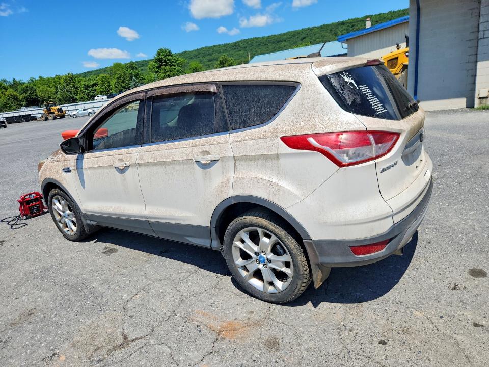 55414766 :رقم المزاد ، 1FMCU9HX1DUC98561 vin ، 2013 Ford Escape مزاد بيع