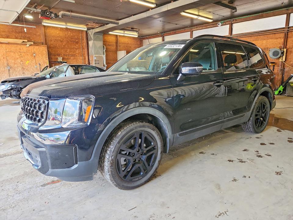 Продаж на аукціоні авто 2025 Kia Telluride, vin: 5XYP5DGC1SG627326, номер лоту: 53632136