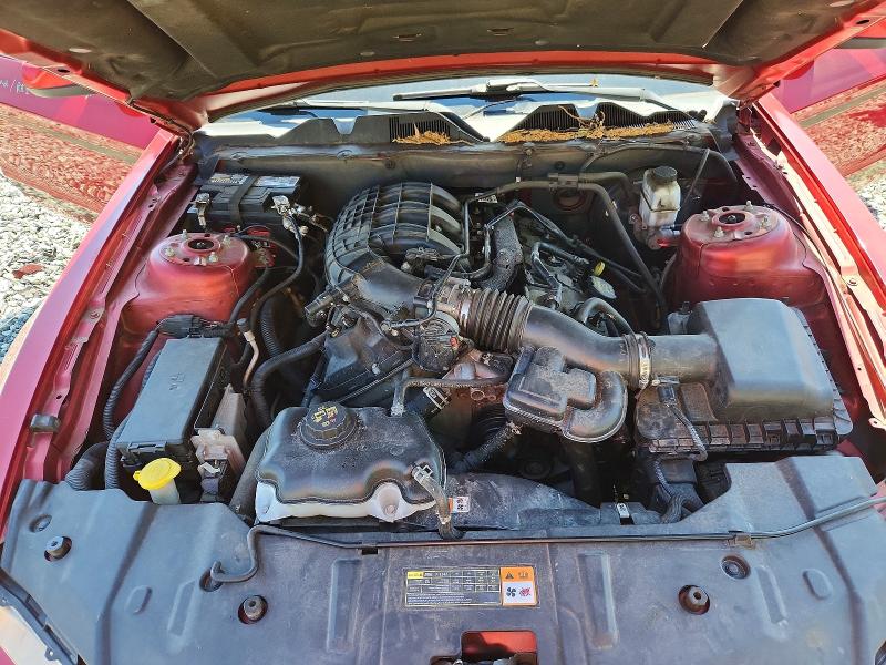 Продажа на аукционе авто 2013 Ford Mustang, vin: 1ZVBP8AM4D5204309, номер лота: 53521356