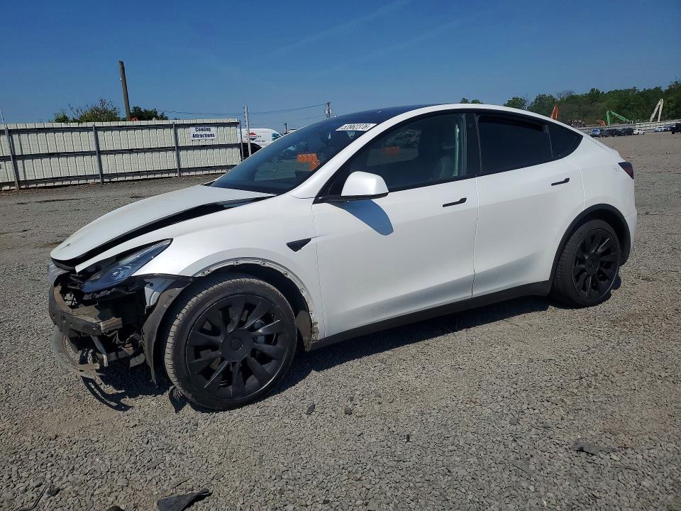 Продажа на аукционе авто 2021 Tesla Model  Y, vin: 5YJYGAEE3MF136901, номер лота: 53962376