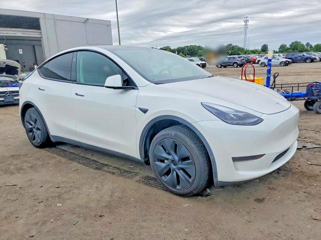 Продажа на аукционе авто 2024 Tesla Model  Y, vin: 7SAYGDED3RF167567, номер лота: 54635346