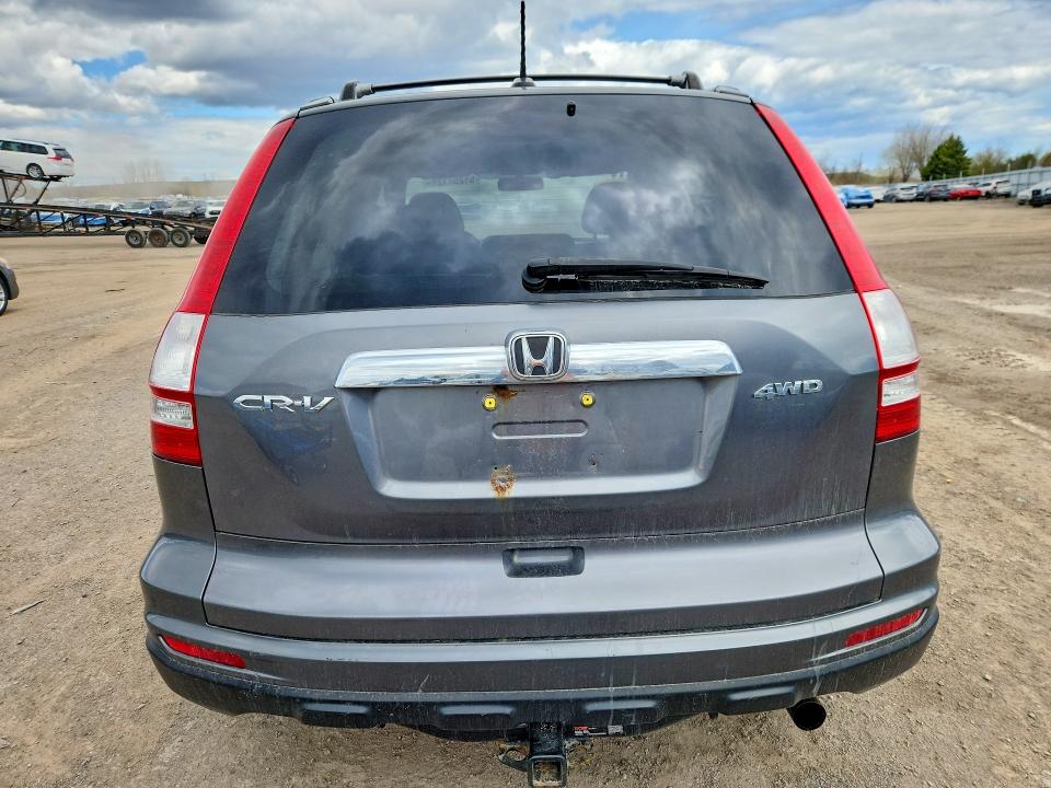 51252126 :رقم المزاد ، 5J6RE4H72AL813917 vin ، 2010 Honda Cr-v مزاد بيع