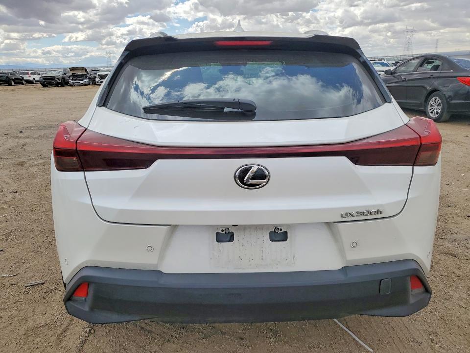 Продажа на аукционе авто 2025 Lexus Ux 300h, vin: JTHYBJAH0S2018916, номер лота: 51992016