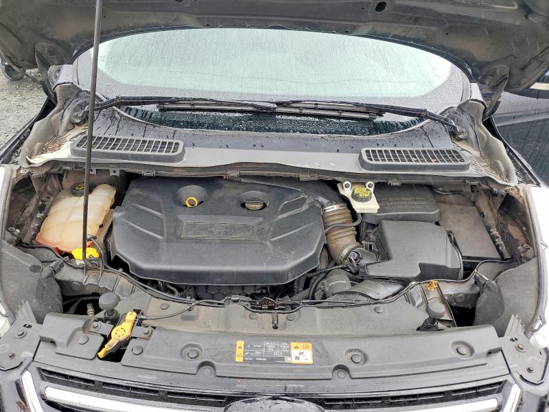 Продажа на аукционе авто 2014 Ford Escape, vin: 1FMCU9J96EUD60629, номер лота: 54949756
